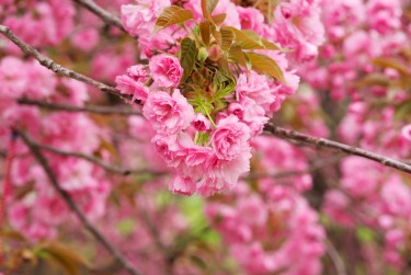 嘉兴南湖区2线下个人借款平台一站式服务，轻松解决资金难题