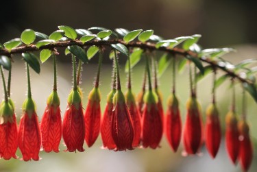 嘉兴南湖区2零用贷短借：轻松解决临时资金需求