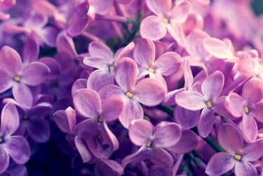 嘉兴南湖区2企业急用钱贷款攻略：快速融资解燃眉之急